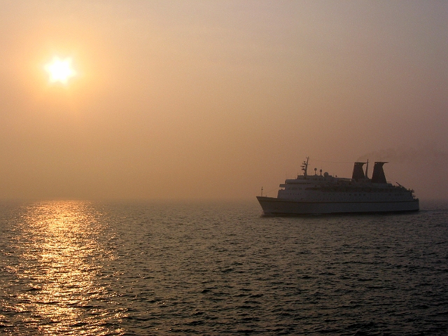 0356 tegenlicht.jpg